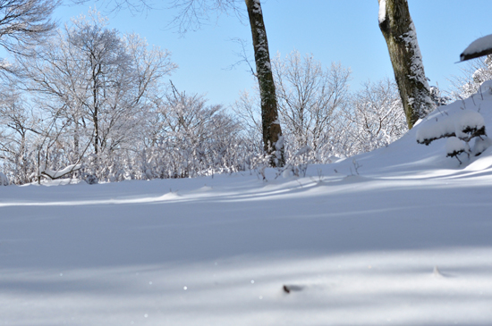 雪が積もった愛宕山