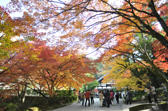 南禅寺・紅葉